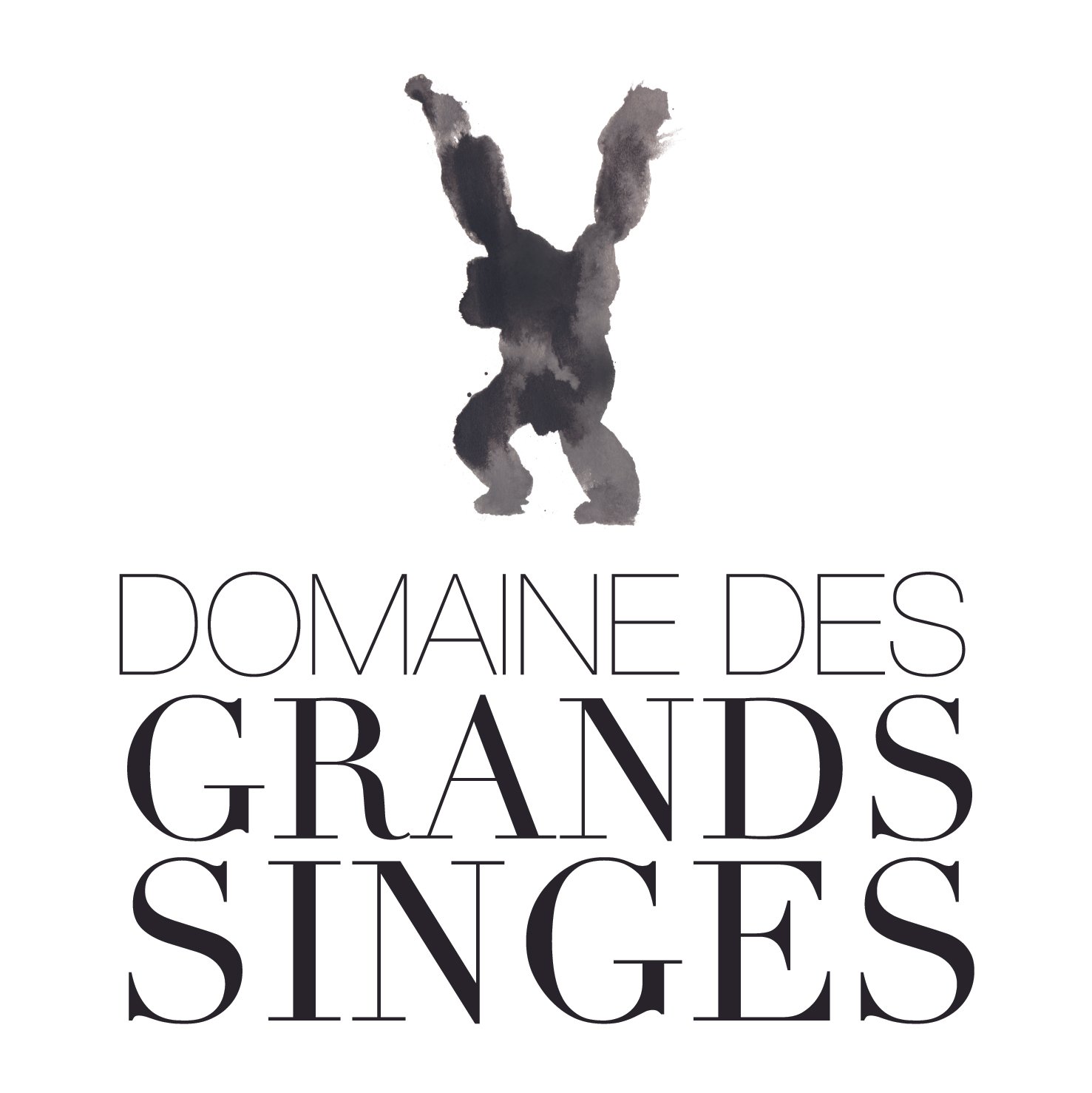 2024_LOGO_DOMAINE_DES_GRANDS_SINGES_VECTO_PAY_Logo_GS+Domaine_des_grands_singes